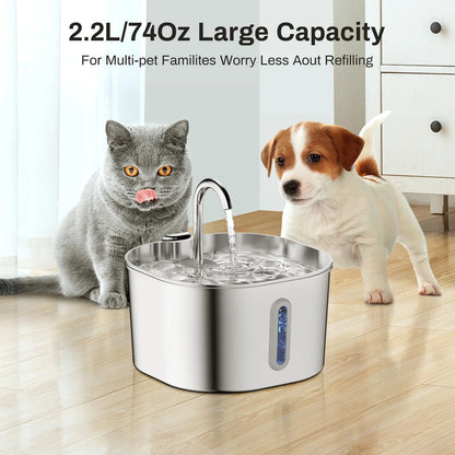 Whisker Well™ Filtered Cat Fountain